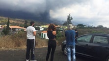 Imagem de Cerca de 160 pessoas regressam a casa em La Palma