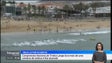 Triatlo do Porto Santo conta com mais de uma centena de atletas inscritos (vídeo)