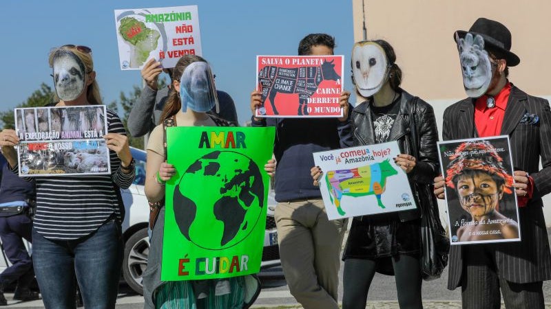 Imagem de Jovens voltam hoje a mobilizar-se pela justiça climática