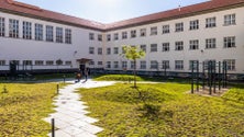 Imagem de Jardim com equipamentos de ginásio ao ar livre na Francisco Franco (áudio)