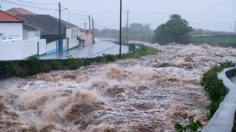 Imagem de Buscas por pessoas desaparecidas em São Miguel retomadas