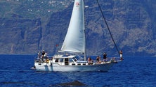 Imagem de Primeira oitava regista grande procura por passeios de barco