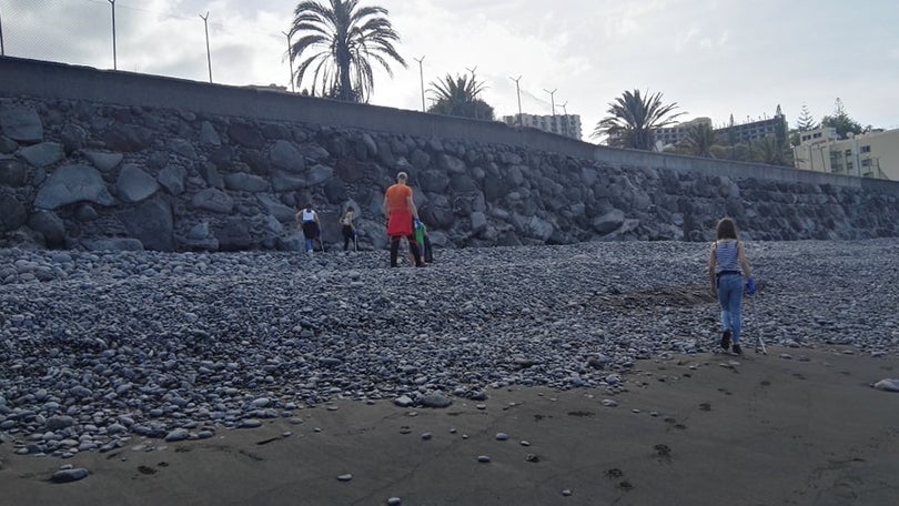 Imagem de Alunos da Gonçalves Zarco limpam praias