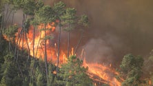 Imagem de Governo declara situação de contingência entre segunda e sexta-feira