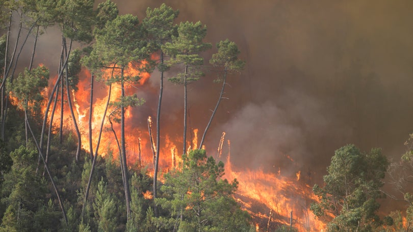 Imagem de Governo declara situação de contingência entre segunda e sexta-feira