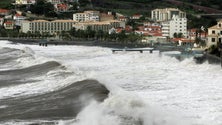 Imagem de Tsunami faz subir 20 cm o nível do mar na…Madeira