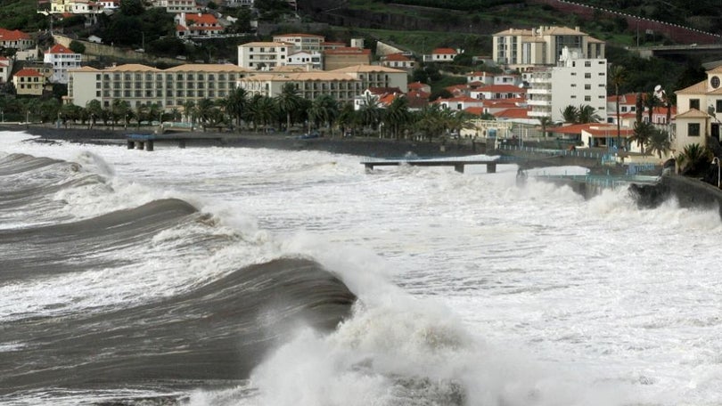 Imagem de Tsunami faz subir 20 cm o nível do mar na…Madeira