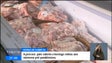 Imagem de Preço do cabrito subiu cerca de 10 %, devido ao aumento dos custos de transporte (vídeo)