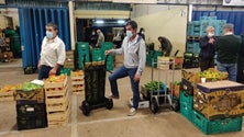 Imagem de Mercado Abastecedor do Funchal com horário provisório