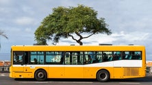 Imagem de Horários do Funchal assegura serviços mínimos no próximo dia 20 (áudio)