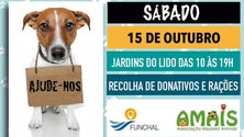Imagem de Campanha de Adoção de Animais este sábado no Funchal