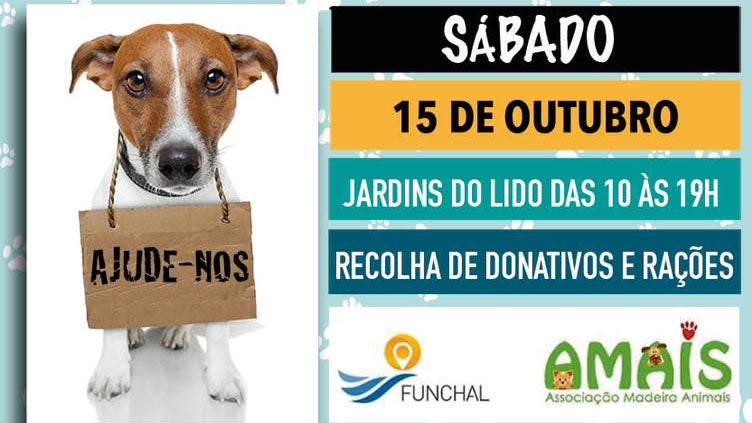 Imagem de Campanha de Adoção de Animais este sábado no Funchal