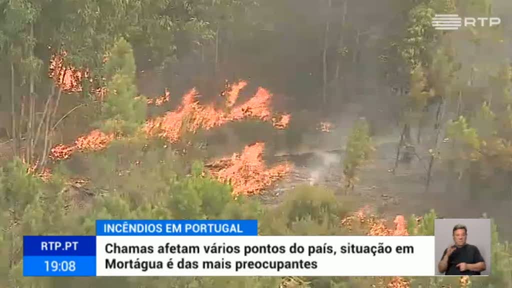 Incêndio Em Mortágua Mobiliza Mais De 200 Bombeiros