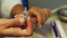Imagem de Vacina contra a gripe administrada a mais de 79 mil pessoas