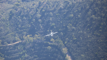 Imagem de Força Aérea interceta aeronave suspeita a sul do Algarve (vídeo)