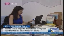 Imagem de Está a ser feito um estudo para avaliar o impacto dos fatores biológicos e ambientais na abundância do atum (Vídeo)