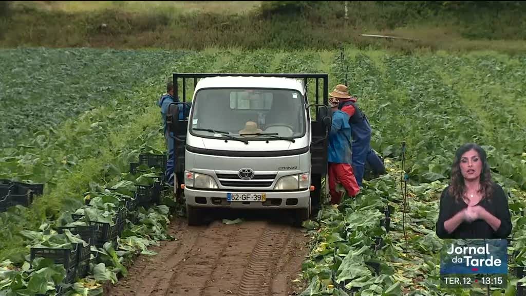 Agricultores ainda não receberam apoios prometidos pelo Governo