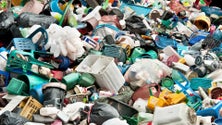 Imagem de Madeira prevê reciclar 35% dos resíduos urbanos em 2030