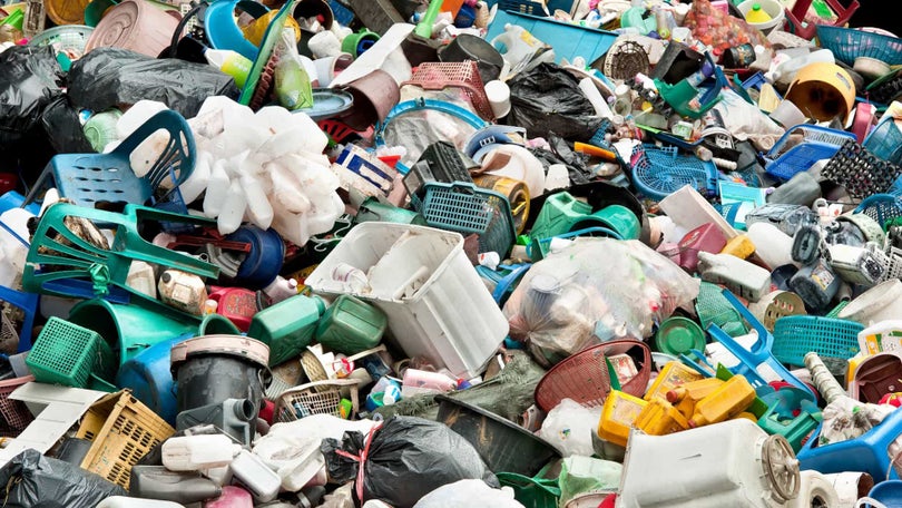 Imagem de Madeira prevê reciclar 35% dos resíduos urbanos em 2030