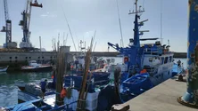 Imagem de Investidor interessado em fábrica de conservas de peixe na Madeira (áudio)