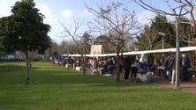 Imagem de Feira das Tranquitanas realizou-se no Parque Século XXI em Ponta Delgada
