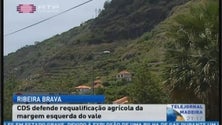 O CDS defende requalificação de terrenos agrícolas na margem do vale da Ribeira Brava (Vídeo)