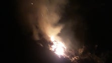 Imagem de Polícia Florestal identifica autor de queimada ilegal durante a noite em Santo António