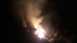 Polícia Florestal identifica autor de queimada ilegal durante a noite em Santo António