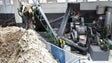 Imagem de Engenhos vão moer 4 mil toneladas de cana-de-açúcar