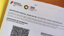 Imagem de Certificados de vacinação à venda na internet (vídeo)