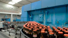 Imagem de Empresa de Cervejas da Madeira vai fechar o ano com prejuízos de 30% (Vídeo)