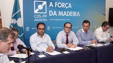 Imagem de CDS-PP vai requerer debate potestativo sobre os fogos