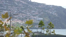 Imagem de Madeira tem 253 mil os eleitores inscritos (vídeo)