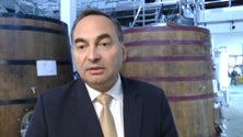 Imagem de Governo vai criar uma Bianual da Vinha e do Vinho