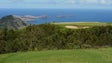 Imagem de Obras no campo de golfe do Santo da Serra vão custar cerca de 2 milhões de euros