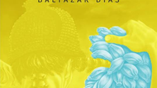 Imagem de Tropismos em exposição no Baltazar Dias