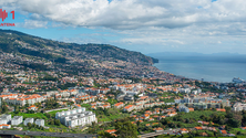 Imagem de Vendas voltam a animar setor imobiliário na Região