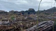 Imagem de Mais dois cêntimos por quilo para os produtores de cana-de-açúcar (vídeo)