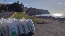 Imagem de Retirado lixo da orla costeira da Lagoa (Vídeo)