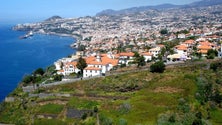 Funchal promove limpeza de terrenos