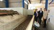Imagem de Nova fábrica vai processar biomassa para a produção de energia