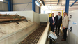 Nova fábrica vai processar biomassa para a produção de energia