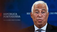Imagem de Madeira com 5% do envelope financeiro (vídeo)