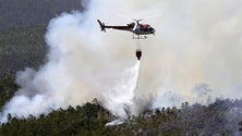 Imagem de Incêndios: Proteção Civil diz que estão adjudicados 42 meios aéreos