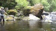 Imagem de Pesca da truta nas ribeiras da Madeira (áudio)