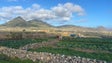 Imagem de Agricultores elogiam transporte gratuito dos produtos (vídeo)