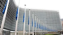 Imagem de Bruxelas aprova taxa reduzida de imposto de consumo para rum e licor da Madeira