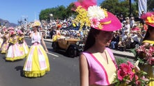 Albuquerque considera que Festa da Flor está a correr bem (áudio)