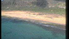 Imagem de Maré negra, no Porto Santo, foi há 30 anos