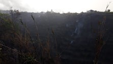 Imagem de Foi dado como extinto o incêndio na Ponta do Pargo (Áudio)